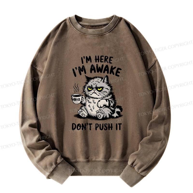 Tokyo-Tiger Tired Cat Washed Sweatshirt