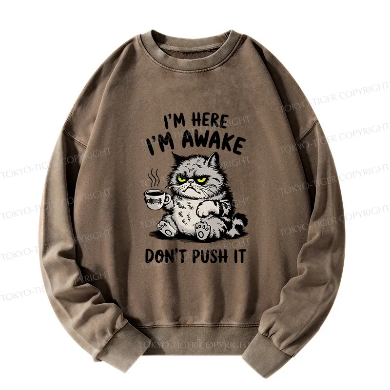 Tokyo-Tiger Tired Cat Washed Sweatshirt