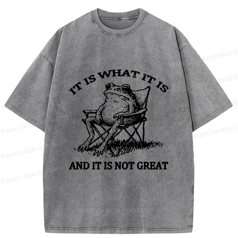 Tokyo-Tiger Resting Frog Funny Washed T-Shirt