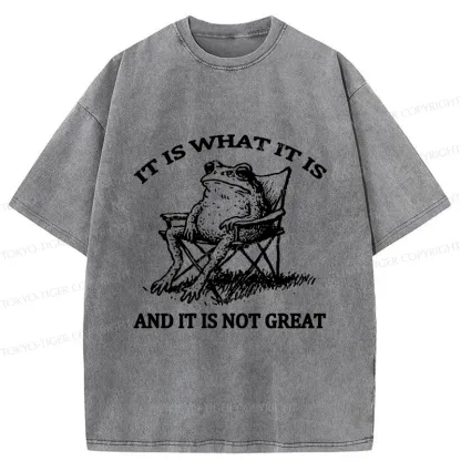 Tokyo-Tiger Resting Frog Funny Washed T-Shirt