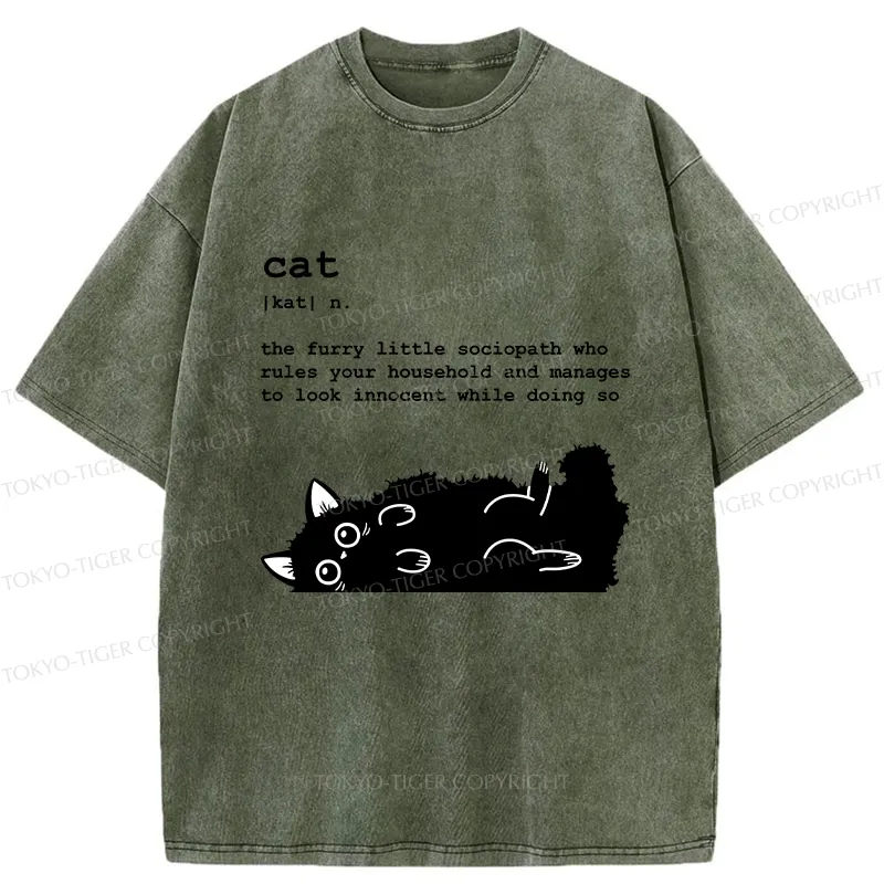Tokyo-Tiger Definition Of Cat Funny Washed T-Shirt