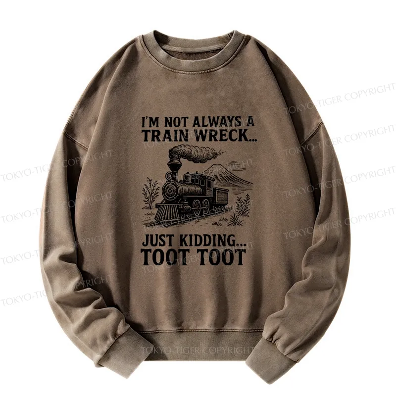 Tokyo-Tiger Funny Train Jokes Washed Sweatshirt
