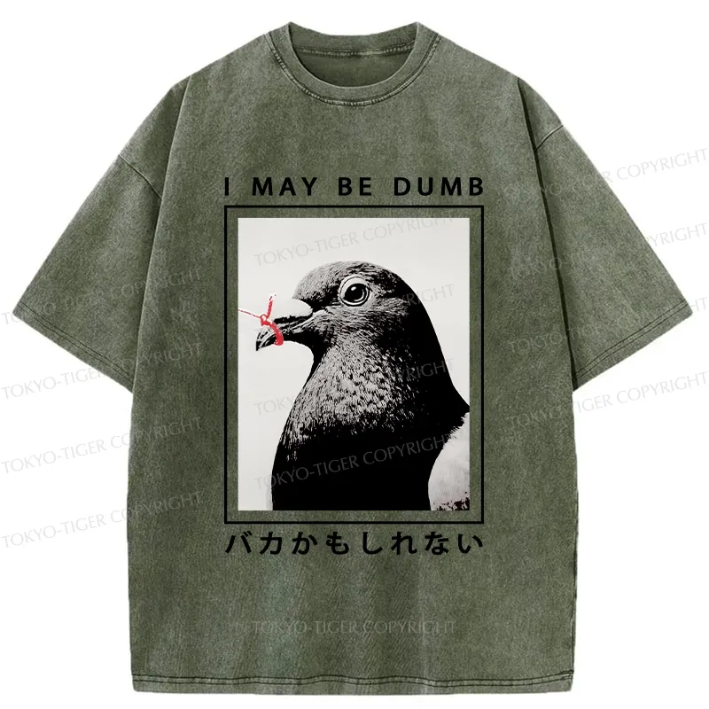 Tokyo-Tiger I May Be Dumb Funny Washed T-Shirt