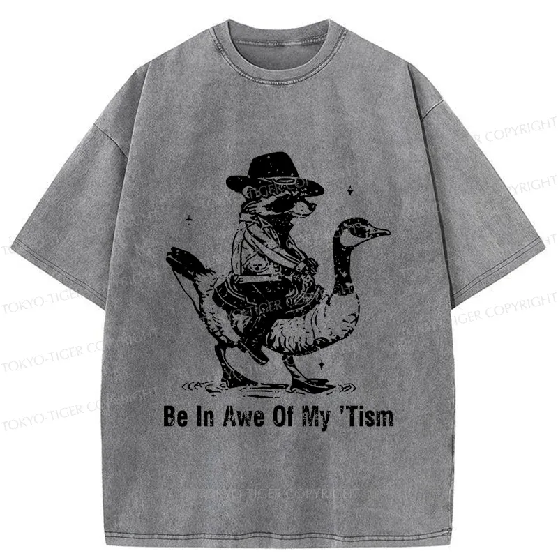 Tokyo-Tiger Raccoon Riding A Goose Washed T-Shirt