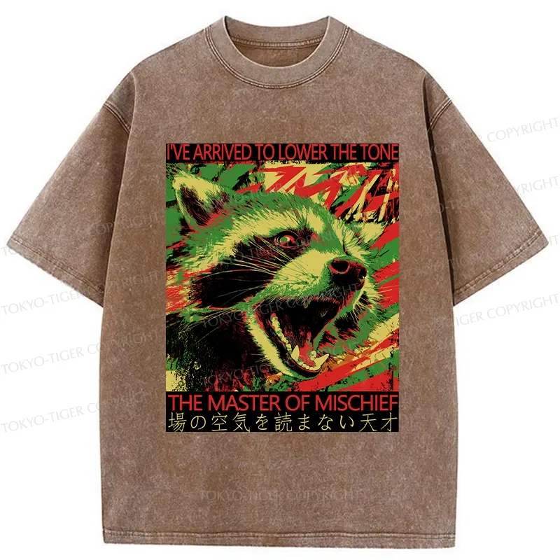 Tokyo-Tiger The Master Of Mischief Washed T-Shirt
