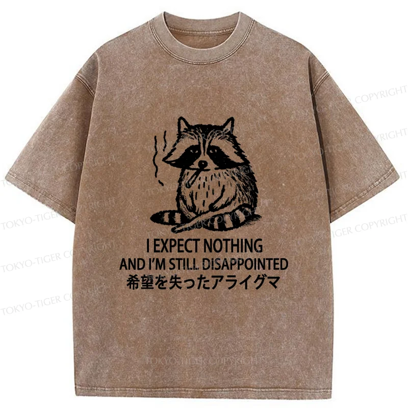 Tokyo-Tiger Lost Hope Raccoon Washed T-Shirt