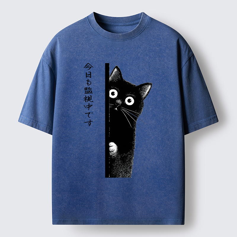 Tokyo-Tiger A Black Cat Is Watching You Washed T-Shirt