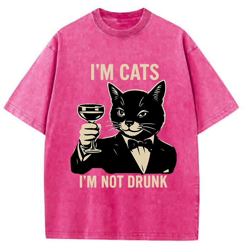 Tokyo-Tiger Cat Cheers Meme Funny Washed T-Shirt