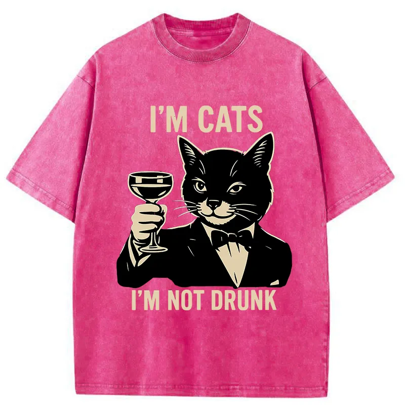 Tokyo-Tiger Cat Cheers Meme Funny Washed T-Shirt