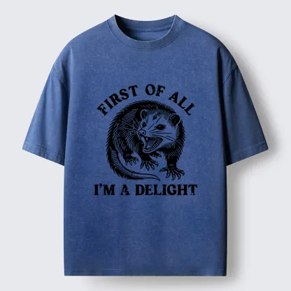Tokyo-Tiger Delight Possum Meme Washed T-Shirt