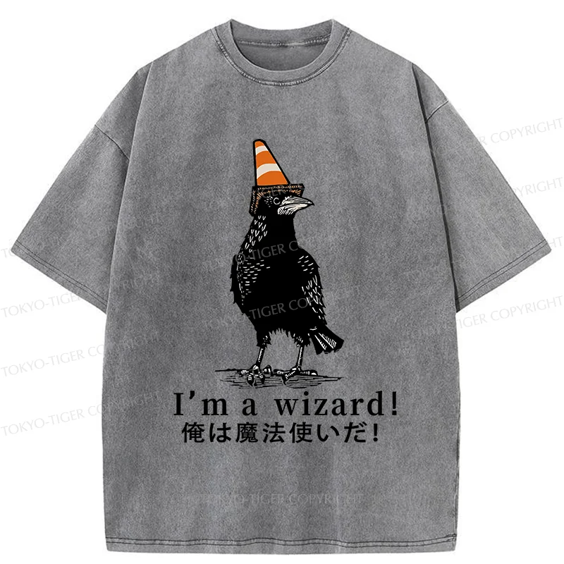 Tokyo-Tiger Magic Crow Washed T-Shirt
