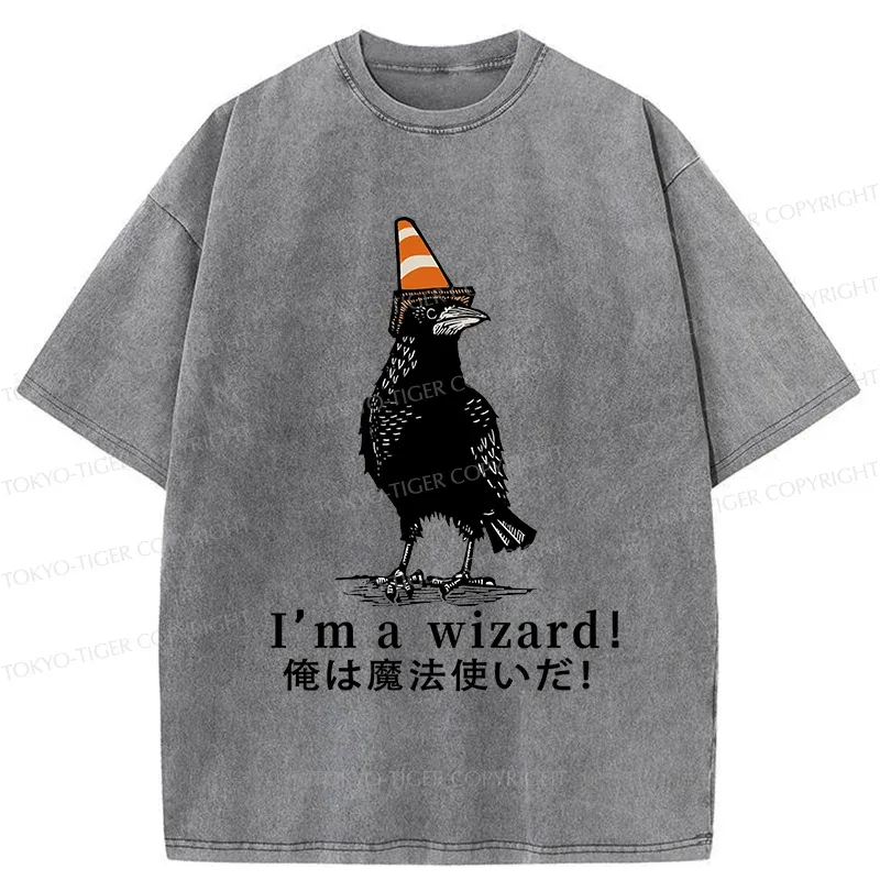 Tokyo-Tiger Magic Crow Washed T-Shirt