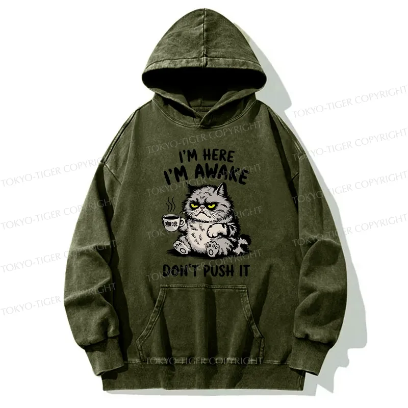 Tokyo-Tiger Tired Cat Washed Hoodie