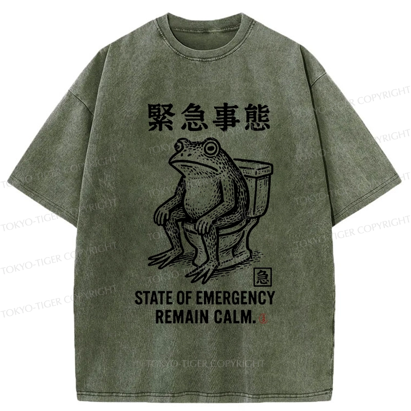 Tokyo-Tiger Funny Remain Calm Frog Washed T-Shirt