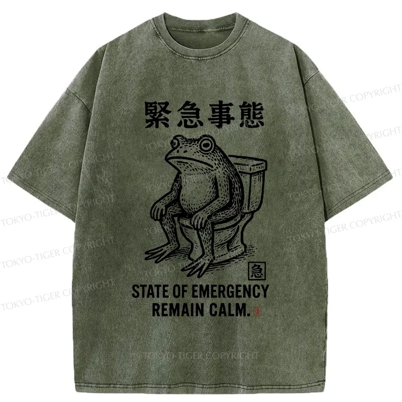 Tokyo-Tiger Funny Remain Calm Frog Washed T-Shirt