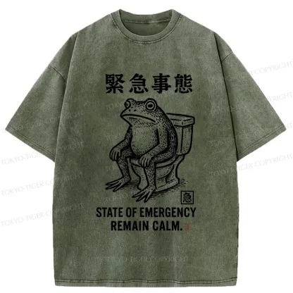 Tokyo-Tiger Funny Remain Calm Frog Washed T-Shirt