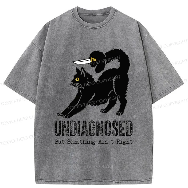 Tokyo-Tiger Cat With Knife Washed T-Shirt