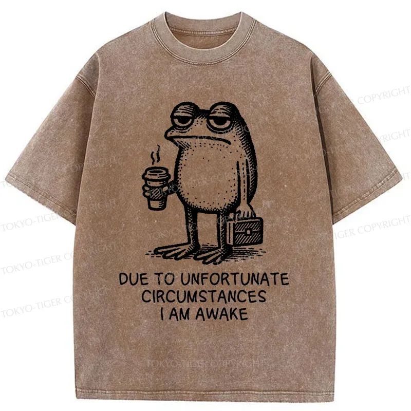 Tokyo-Tiger Decadent Frog Washed T-Shirt