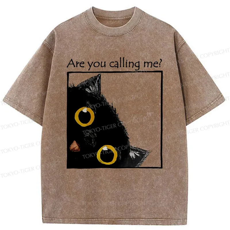 Tokyo-Tiger Silly Kitten Washed T-Shirt