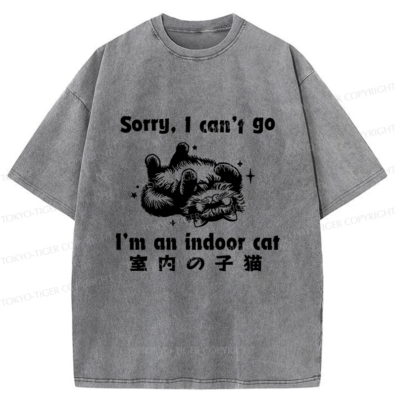 Tokyo-Tiger House Cat Washed T-Shirt