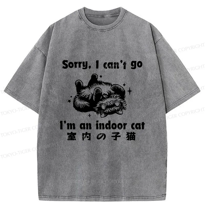Tokyo-Tiger House Cat Washed T-Shirt