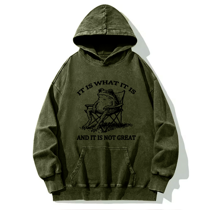 Tokyo-Tiger Resting Frog Funny Washed Hoodie