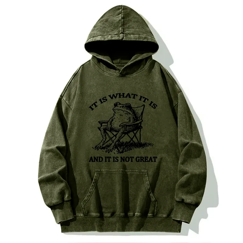Tokyo-Tiger Resting Frog Funny Washed Hoodie