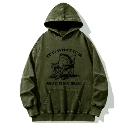 Tokyo-Tiger Resting Frog Funny Washed Hoodie