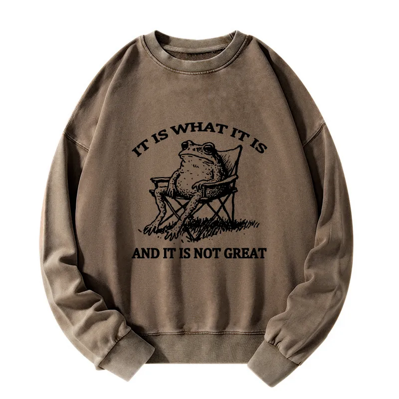 Tokyo-Tiger Resting Frog Funny Washed Sweatshirt