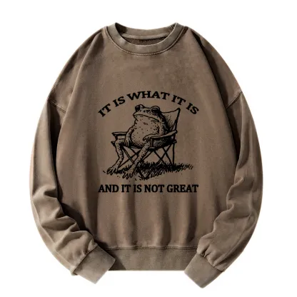 Tokyo-Tiger Resting Frog Funny Washed Sweatshirt