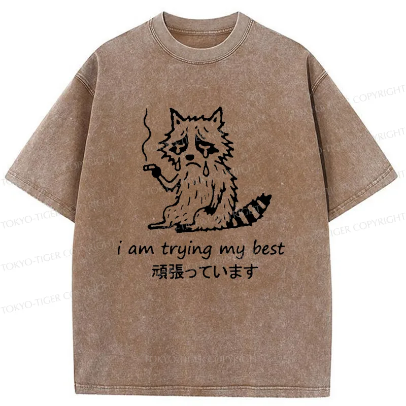 Tokyo-Tiger Raccoon Tried His Best Washed T-Shirt
