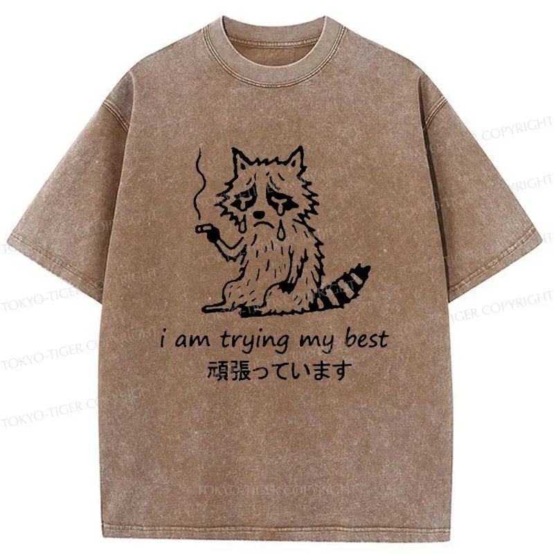 Tokyo-Tiger Raccoon Tried His Best Washed T-Shirt