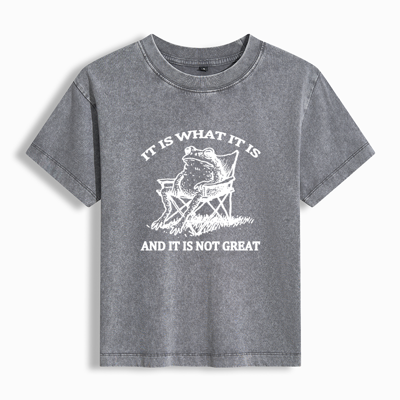 Tokyo-Tiger Resting Frog Funny Washed T-shirt