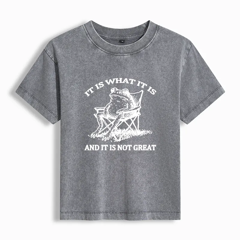 Tokyo-Tiger Resting Frog Funny Washed T-shirt