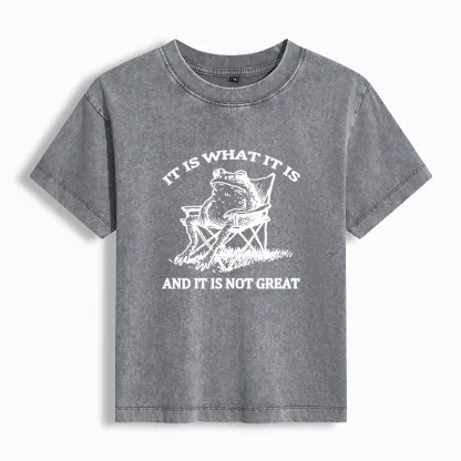 Tokyo-Tiger Resting Frog Funny Washed T-shirt