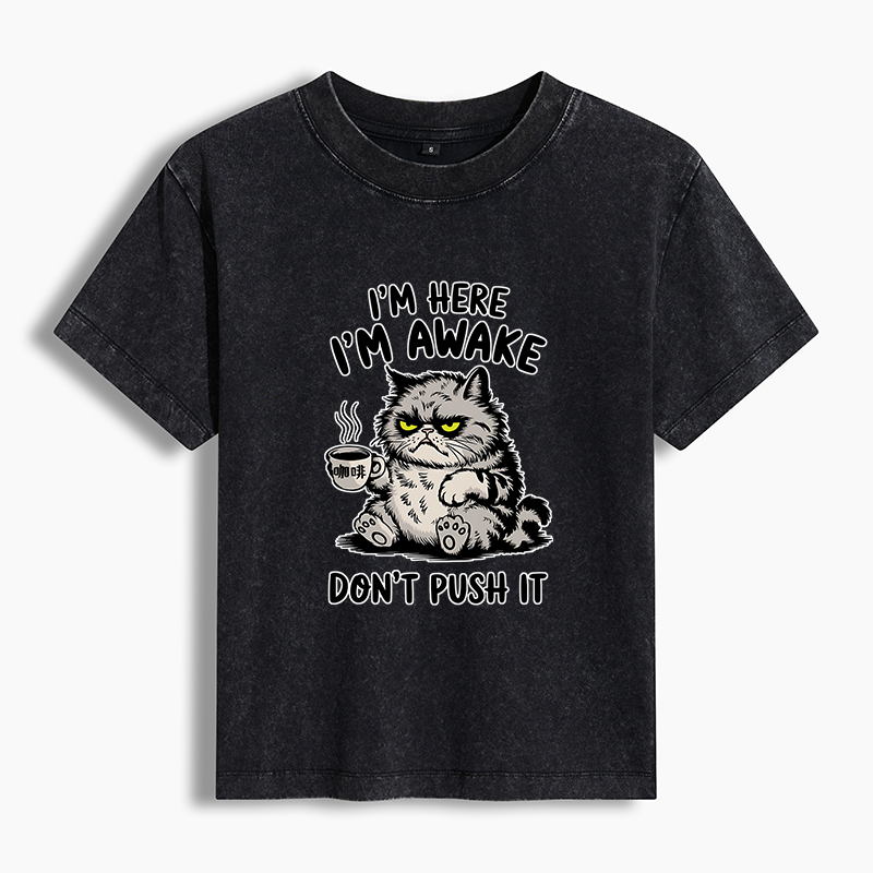 Tokyo-Tiger Tired Cat Washed T-shirt