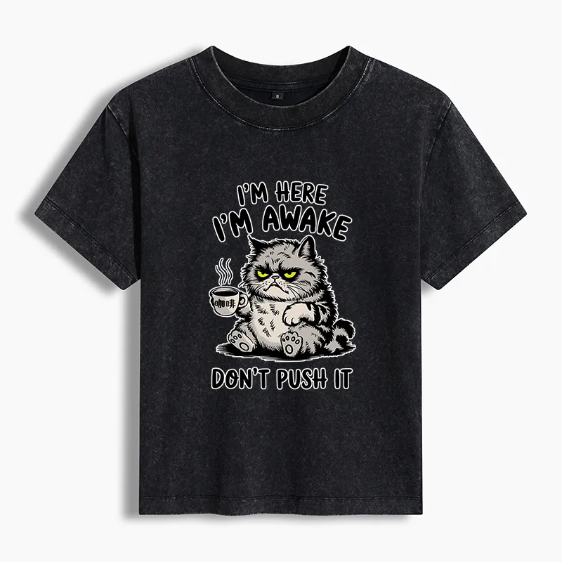 Tokyo-Tiger Tired Cat Washed T-Shirt Sale