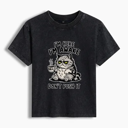 Tokyo-Tiger Tired Cat Washed T-shirt