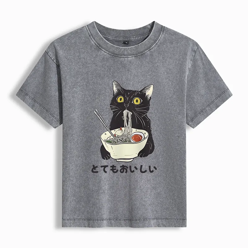 Tokyo-Tiger Cats Eat Ramen Noodles Women's Washed T-Shirt Sale