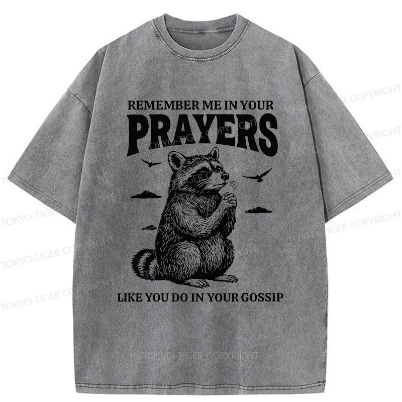 Tokyo-Tiger Raccoon Prayer Washed T-Shirt