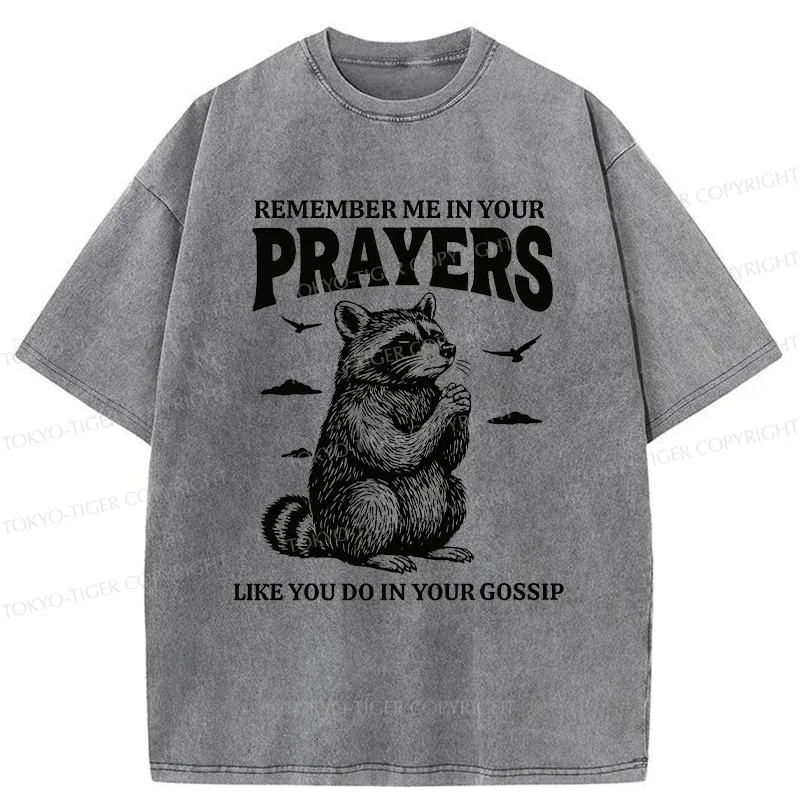 Tokyo-Tiger Raccoon Prayer Washed T-Shirt