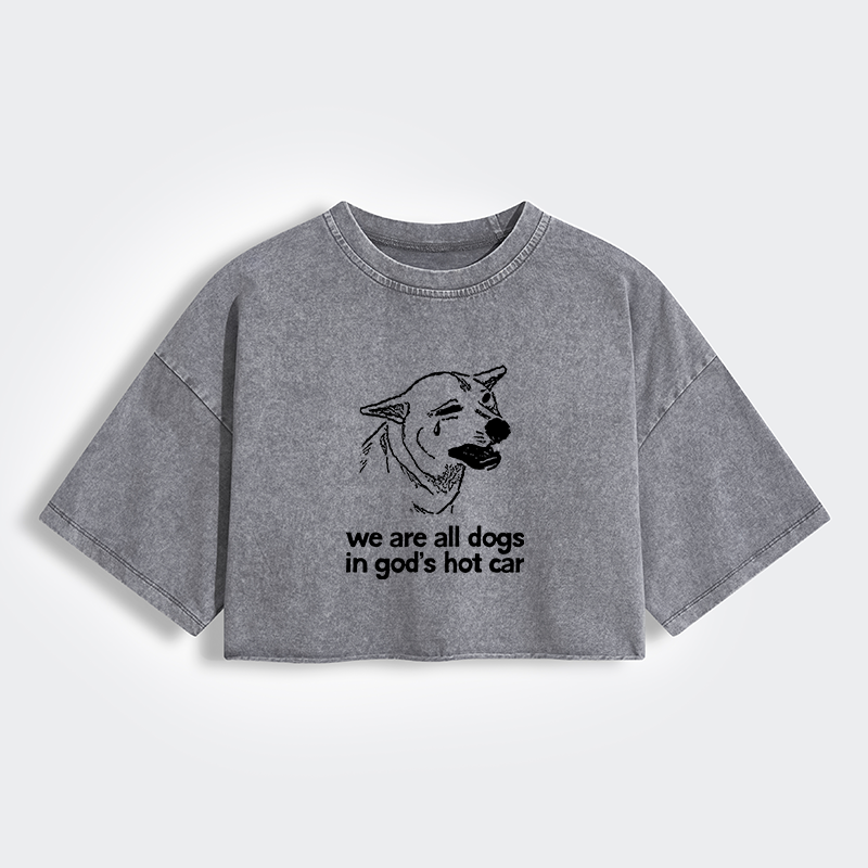 Tokyo-Tiger Sad Dog Funny Women's Washed Crop T-Shirt