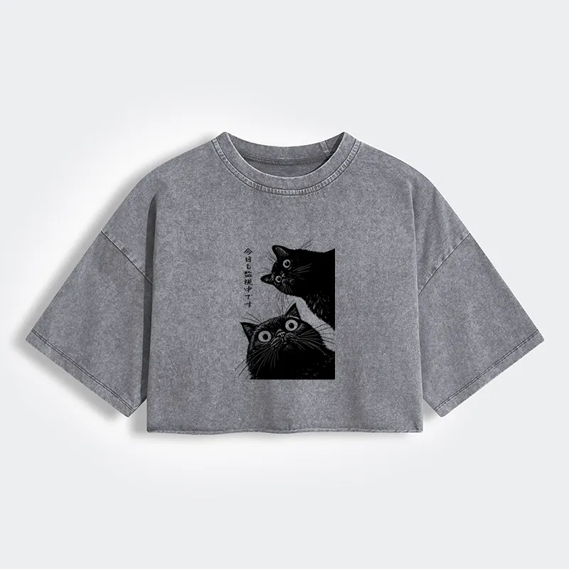 Tokyo-Tiger The Cat Is Watching Today Women's Washed Crop T-Shirt