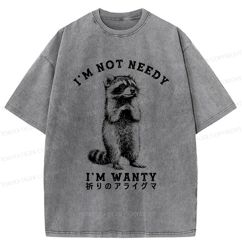 Tokyo-Tiger Praying Raccoon Washed T-Shirt