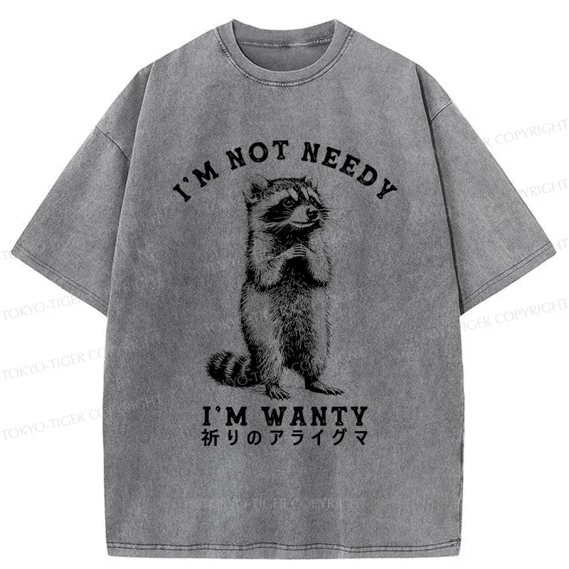 Tokyo-Tiger Praying Raccoon Washed T-Shirt