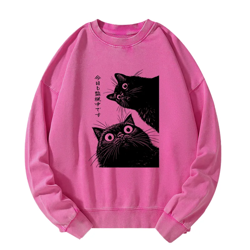 Tokyo-Tiger The Cat Is Watching Today Washed Sweatshirt