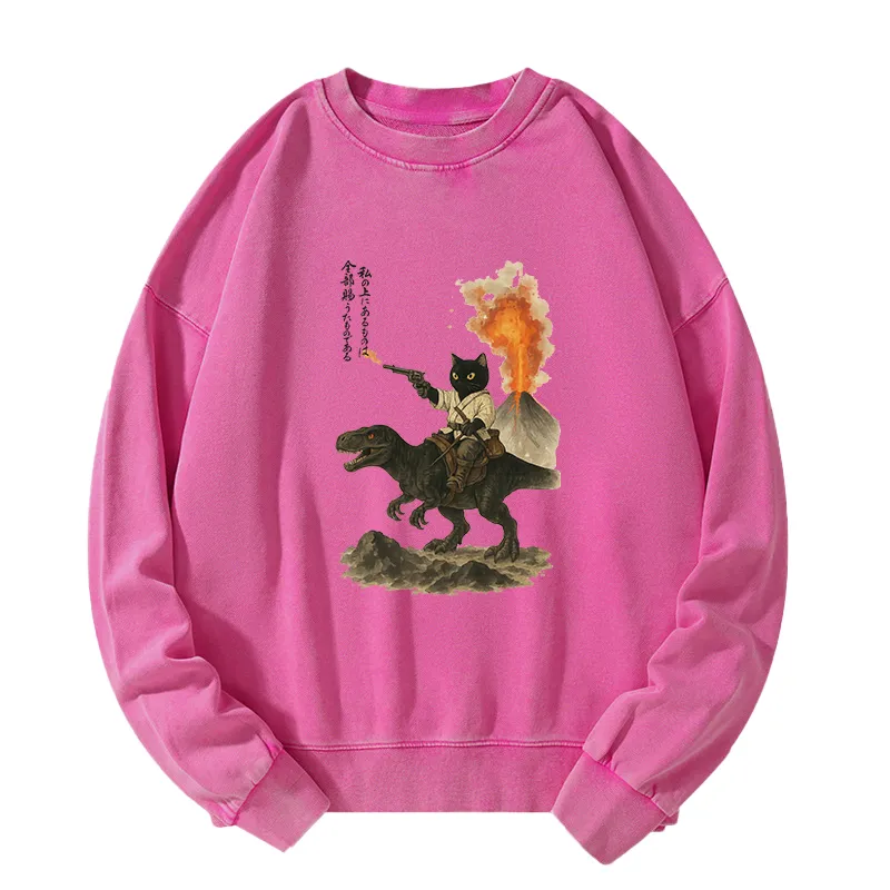 Tokyo-Tiger Cat Riding A Dinosaur Washed Sweatshirt