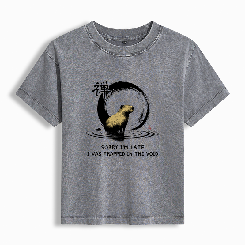 Tokyo-Tiger Zen Capybara Was Trapped In The Void Women's Washed T-shirt