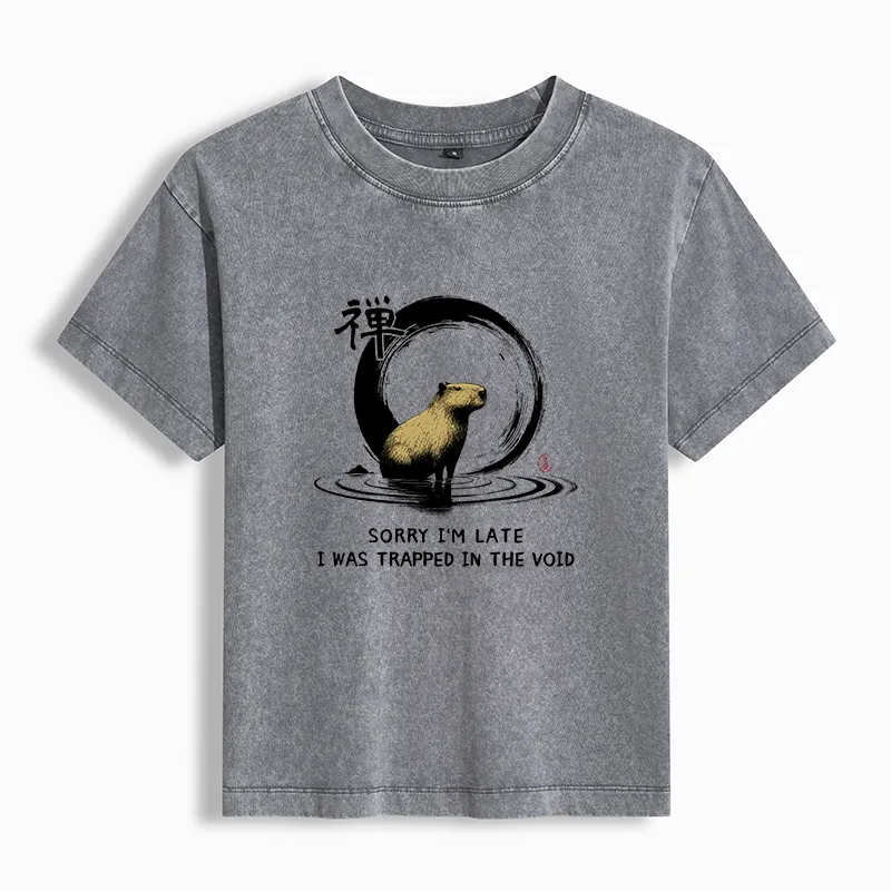 Tokyo-Tiger Zen Capybara Was Trapped In The Void Women's Washed T-shirt