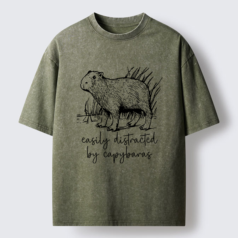 Tokyo-Tiger Capybara Lovers Funny Washed T-Shirt